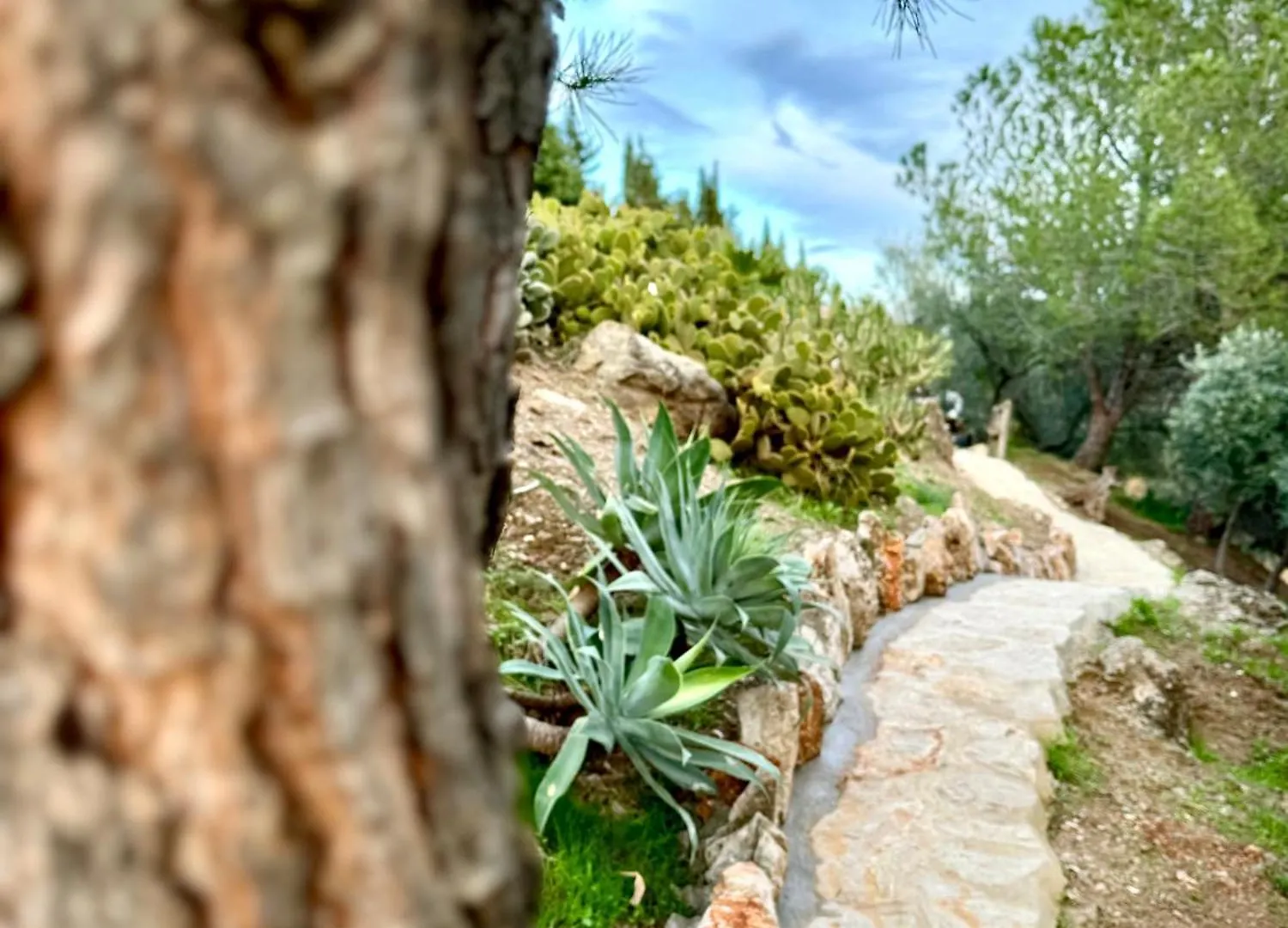 Ríogordo Romantische Finca Nahe Malaga, Kreativ Einzigartig